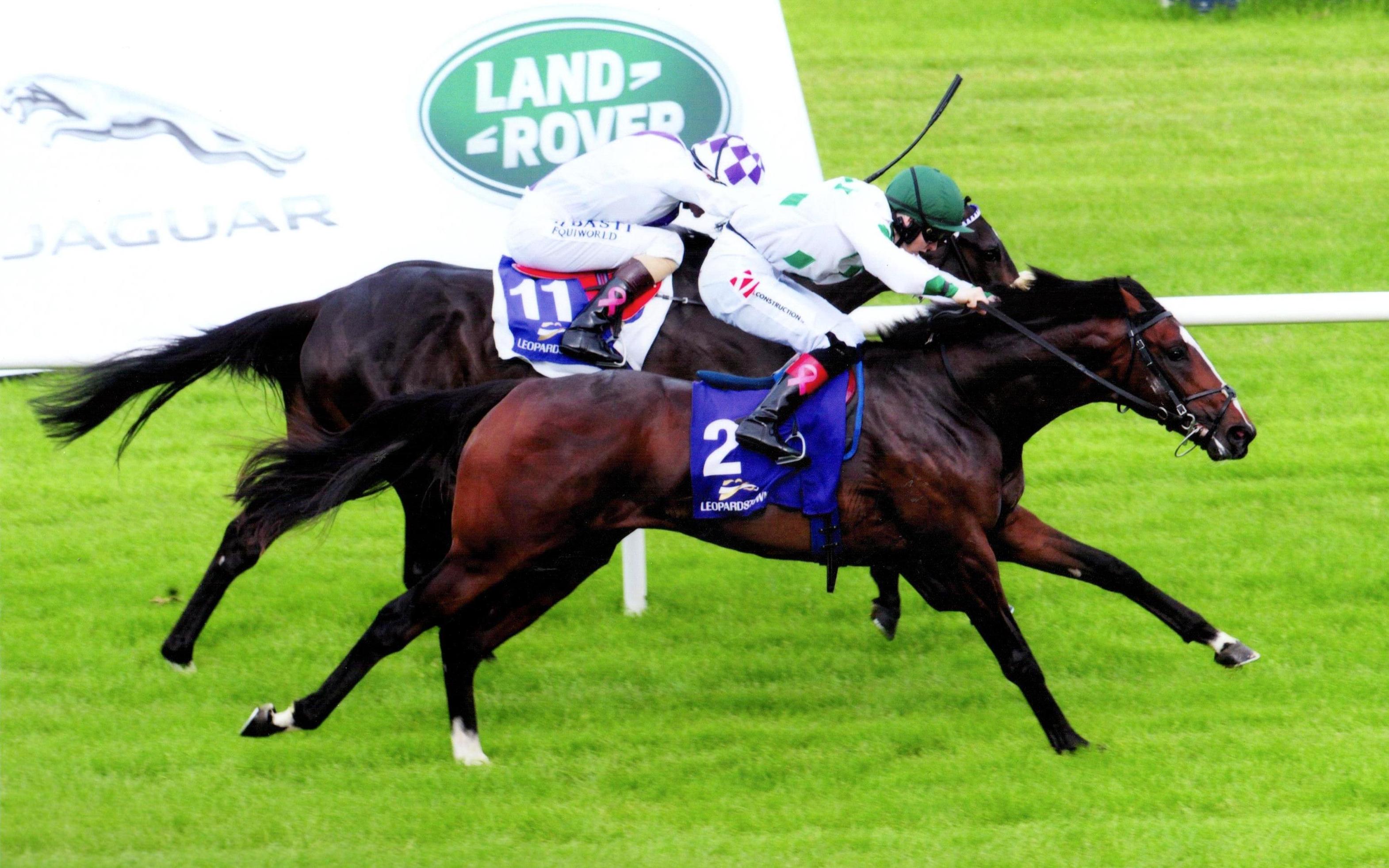 CAMELBACK wins his maiden at Leopardstown for owner Mark Breen 26th May 2017